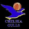 https://img.jingyuzhibol.com.cn/img/basketball/team/0d36b73786230e17d7d718ab10adab87.png