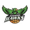 https://img.jingyuzhibol.com.cn/img/basketball/team/2b1e4d737f0d418d905ed896d80dea4b.png