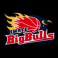 https://img.jingyuzhibol.com.cn/img/basketball/team/bcb478f91fa9177647848bc08ccc209c.png