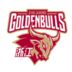 https://img.jingyuzhibol.com.cn/img/basketball/team/d1d77f07287fe840a7e77459e5bd1bfc.png