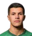 https://img.jingyuzhibol.com.cn/img/football/player/16b124055082fc8f6781e435c96936b2.png
