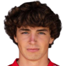 https://img.jingyuzhibol.com.cn/img/football/player/72e130bc2f3ac6ffd21767de7409f115.png