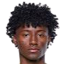 https://img.jingyuzhibol.com.cn/img/football/player/eca1d0053ef970d8a691c238c38e1893.png