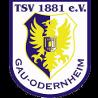 https://img.jingyuzhibol.com.cn/img/football/team/0425718c842cc1330a6507bdde3c1da4.png