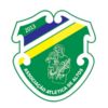 https://img.jingyuzhibol.com.cn/img/football/team/079dd394cc2355231bb0aee65bd140a2.png
