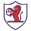 https://img.jingyuzhibol.com.cn/img/football/team/11fb72f7b5eacfc881ee11bac75871fa.png
