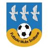 https://img.jingyuzhibol.com.cn/img/football/team/259a1106a33b56d2bb3c458a62ffa2ea.png