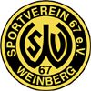 https://img.jingyuzhibol.com.cn/img/football/team/2bf93f32969cab0323d7b243f0b85ea6.png