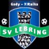 https://img.jingyuzhibol.com.cn/img/football/team/461d9cd3e3800f50409cf618de76159c.png