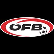 https://img.jingyuzhibol.com.cn/img/football/team/4bec753c4cc2101cd2df5a103b29eda2.png