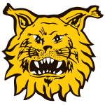 https://img.jingyuzhibol.com.cn/img/football/team/9f170a9ffc15b4141b790f4ff042cc51.png