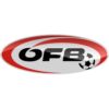 https://img.jingyuzhibol.com.cn/img/football/team/be70130b180875a576e98a5a33c8238a.png