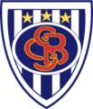 https://img.jingyuzhibol.com.cn/img/football/team/c9ac34f38d3730f978879e2840555ef8.png