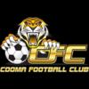 https://img.jingyuzhibol.com.cn/img/football/team/cc4189282b08b40c695ca3fea36178c2.png