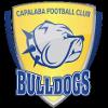 https://img.jingyuzhibol.com.cn/img/football/team/da8bfcabb427caa8c01fbb244a1f77aa.png