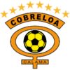 https://img.jingyuzhibol.com.cn/img/football/team/dfef59103668b52788e357e8ac07e9ef.png