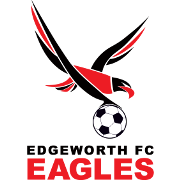 https://img.jingyuzhibol.com.cn/img/football/team/e2b97426d7625e5cd01538ee80f50d2a.png